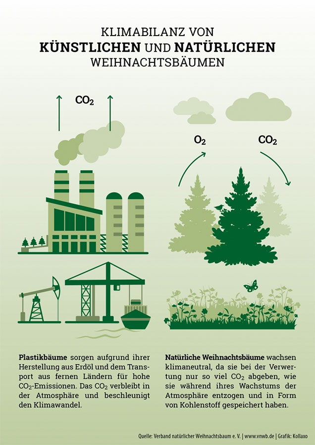 Weihnachtsbaum und Klimabilanz Abbildung VNWB 2023