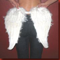 rent_an_angel2